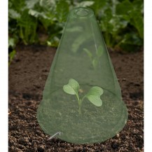 14377 - greenhouse grow cone - in-situ